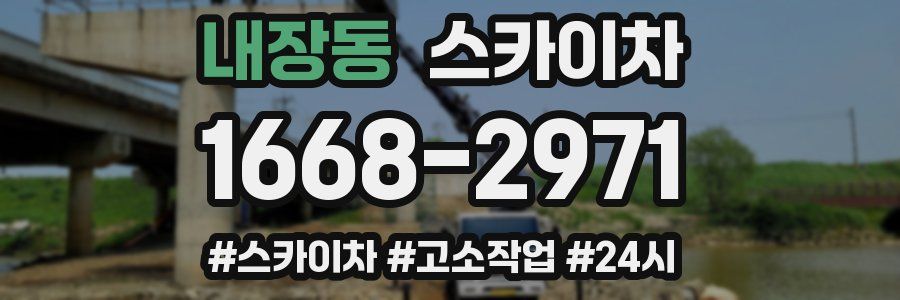 내장동 스카이차