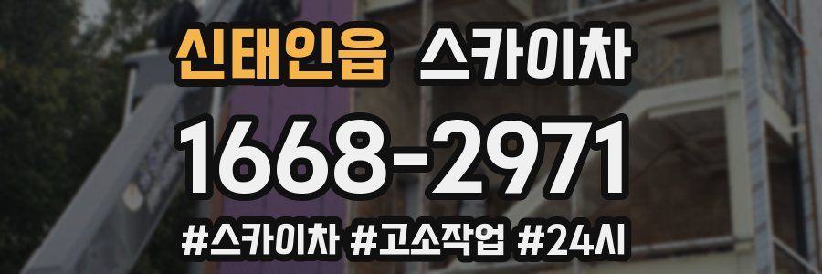 신태인읍 스카이차