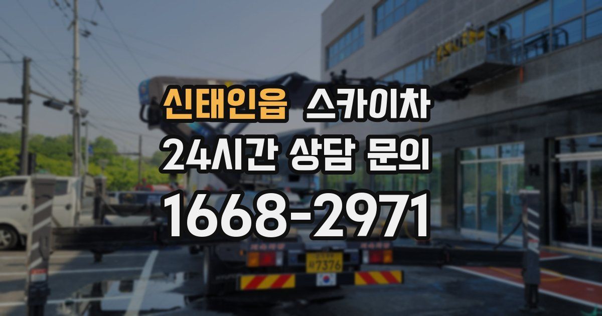 신태인읍 스카이차