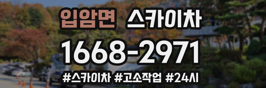 입암면 스카이차