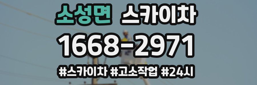 소성면 스카이차