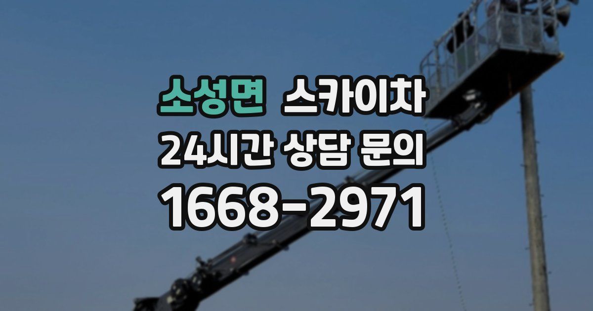 소성면 스카이차