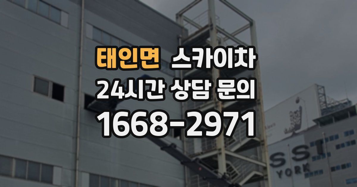 태인면 스카이차