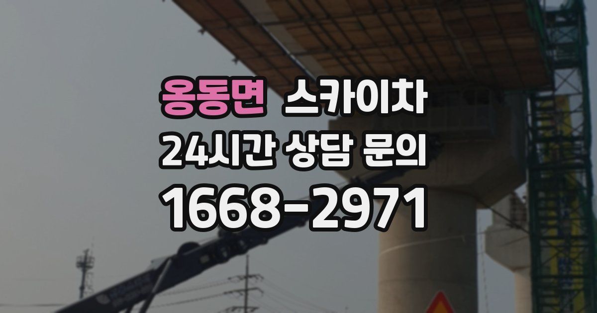 옹동면 스카이차