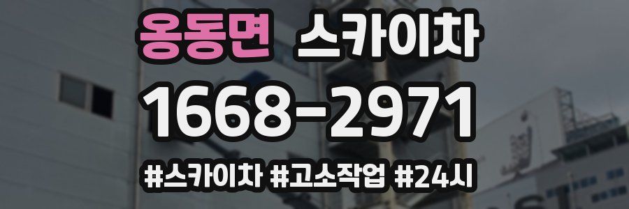 옹동면 스카이차