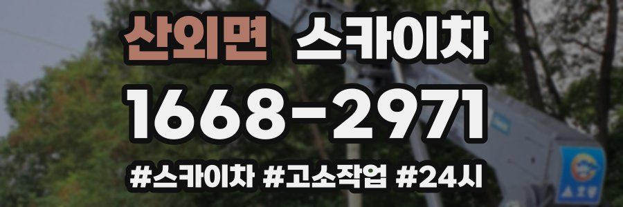 산외면 스카이차