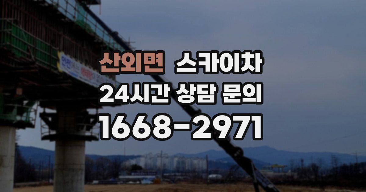 산외면 스카이차