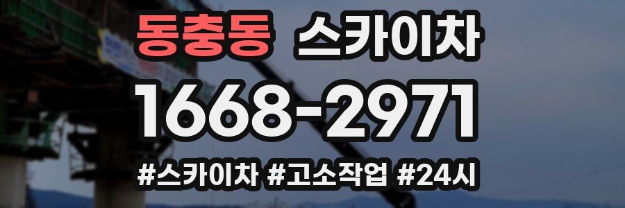 동충동 스카이차