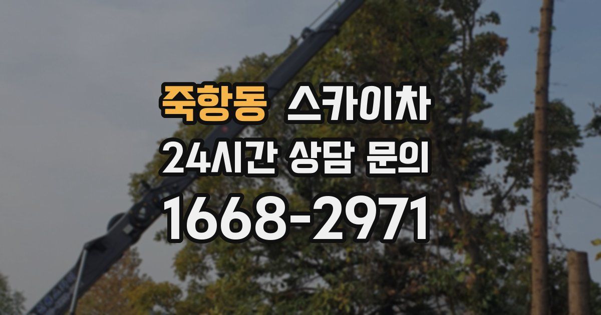 죽항동 스카이차