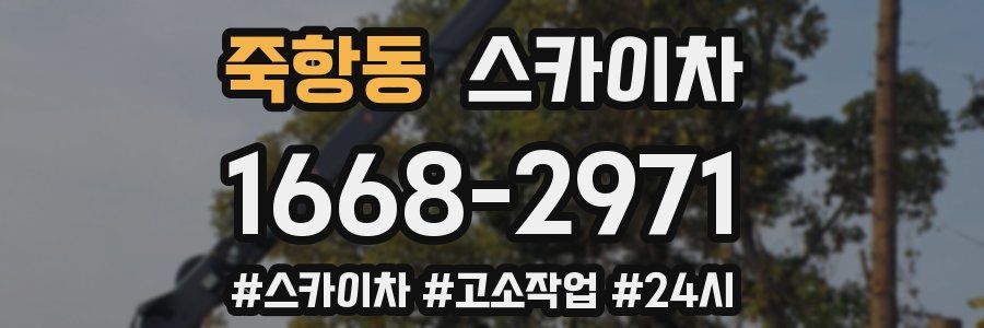 죽항동 스카이차