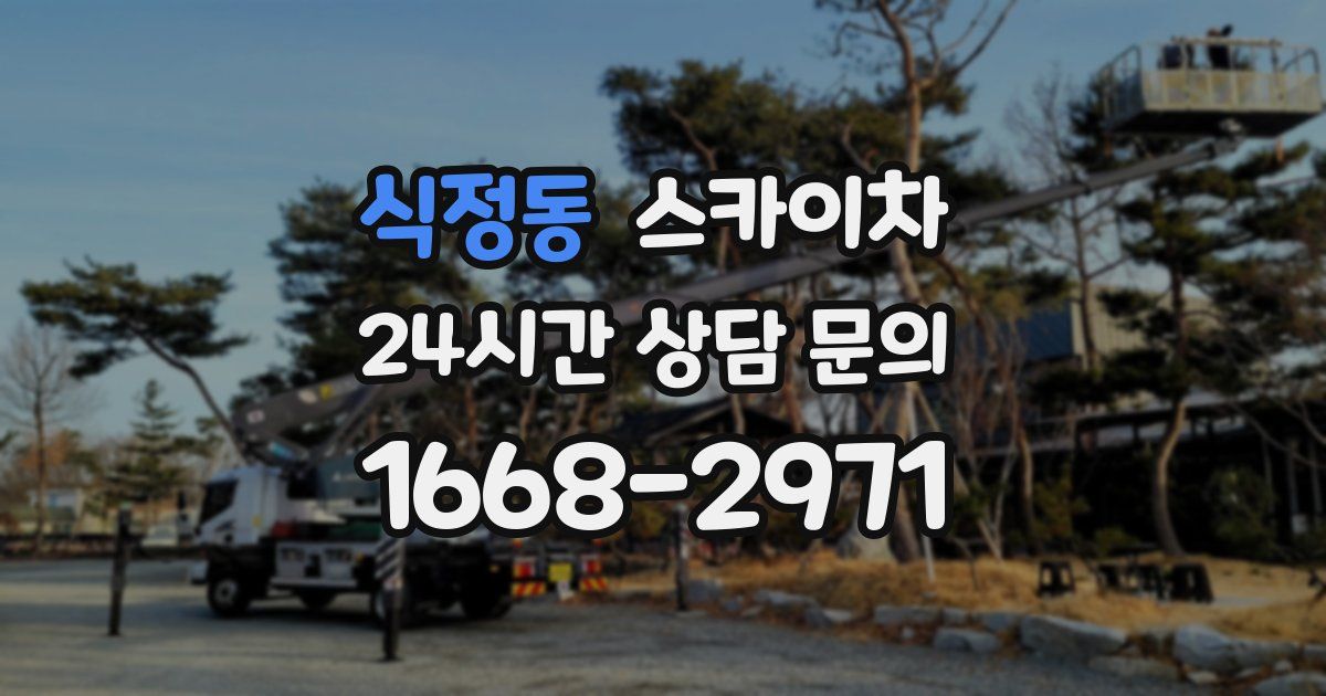 식정동 스카이차