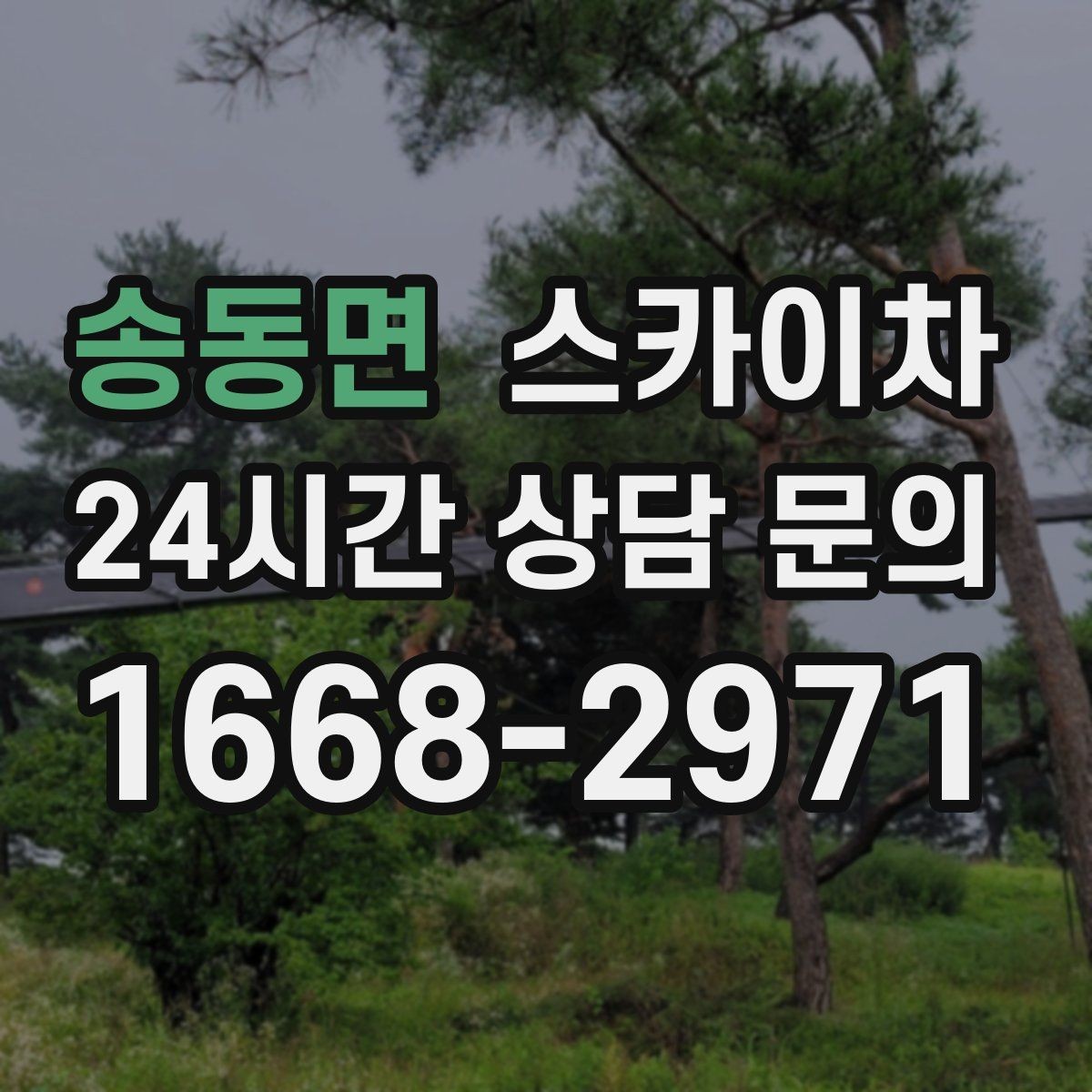 송동면 스카이차 겨울철 간판 조명 점검으로 안전 확보