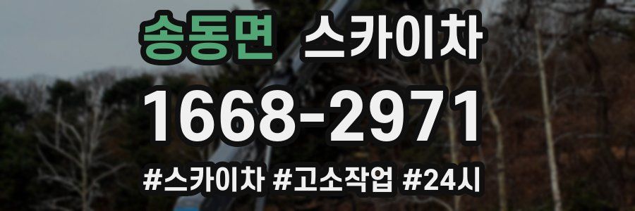 송동면 스카이차