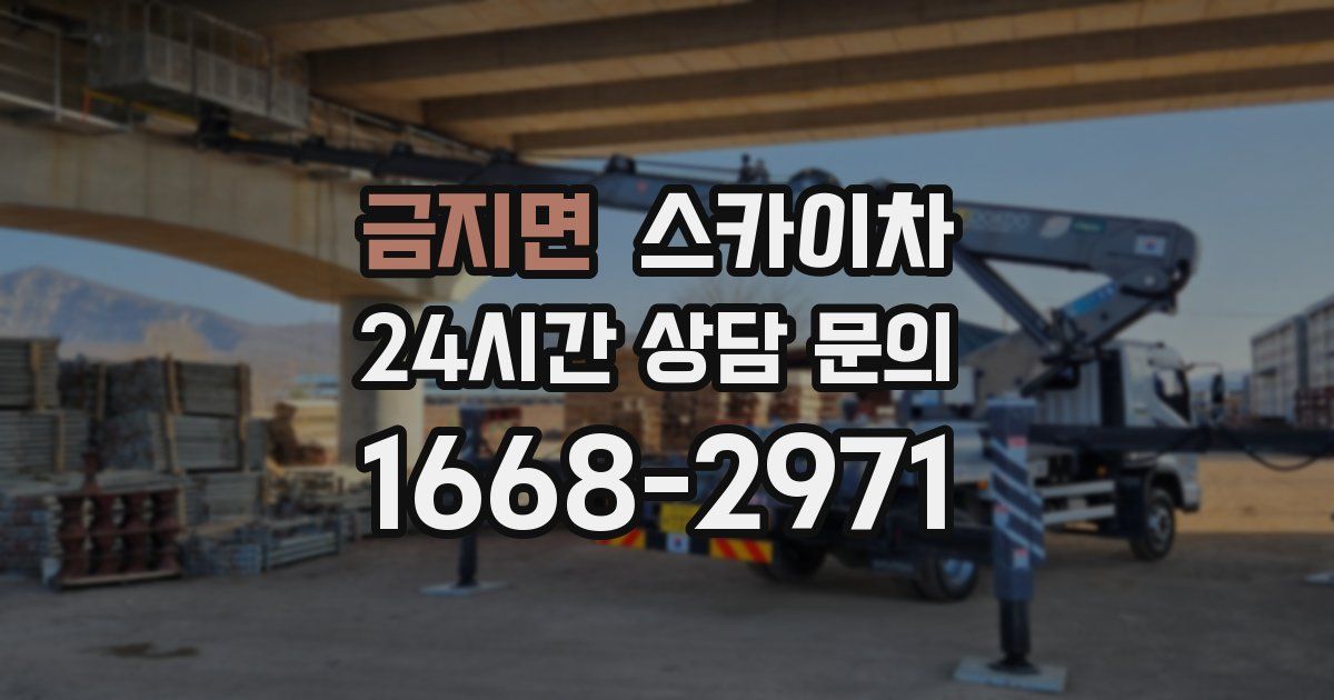 금지면 스카이차