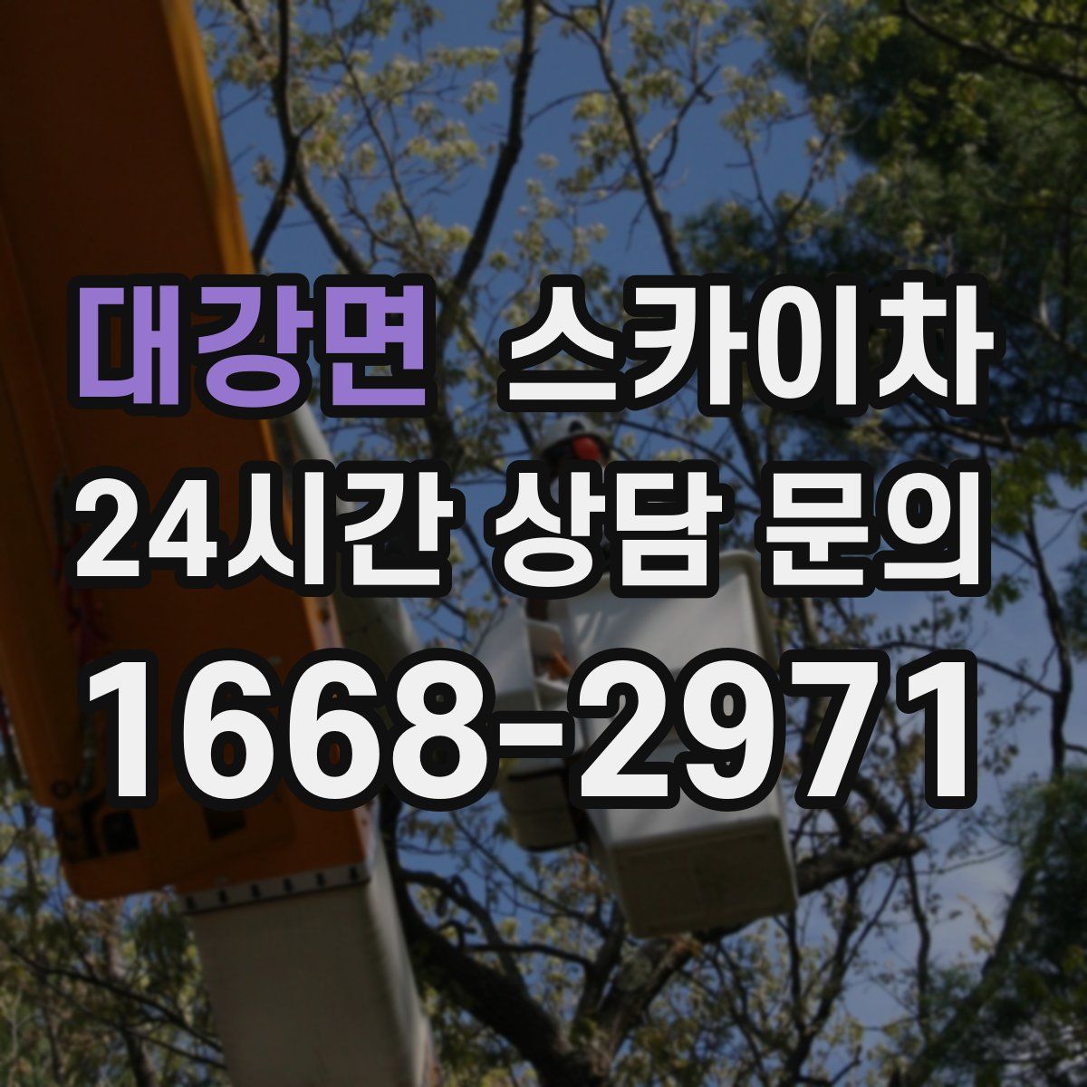 대강면 스카이차