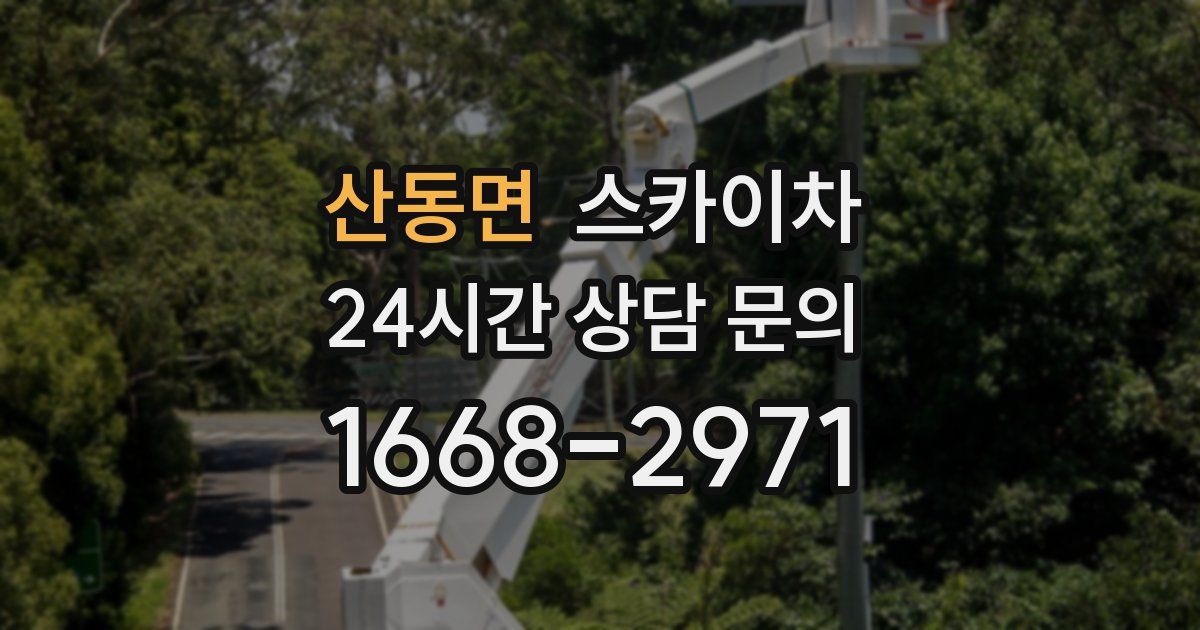 산동면 스카이차