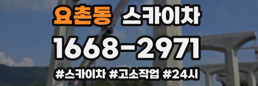 요촌동 스카이차