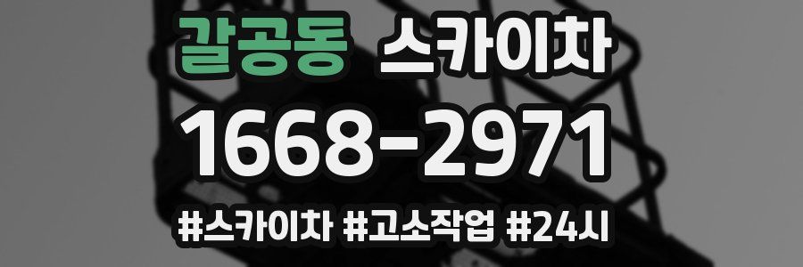 갈공동 스카이차