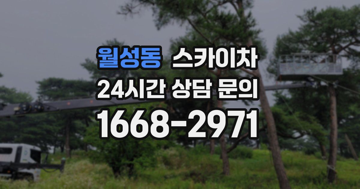 월성동 스카이차