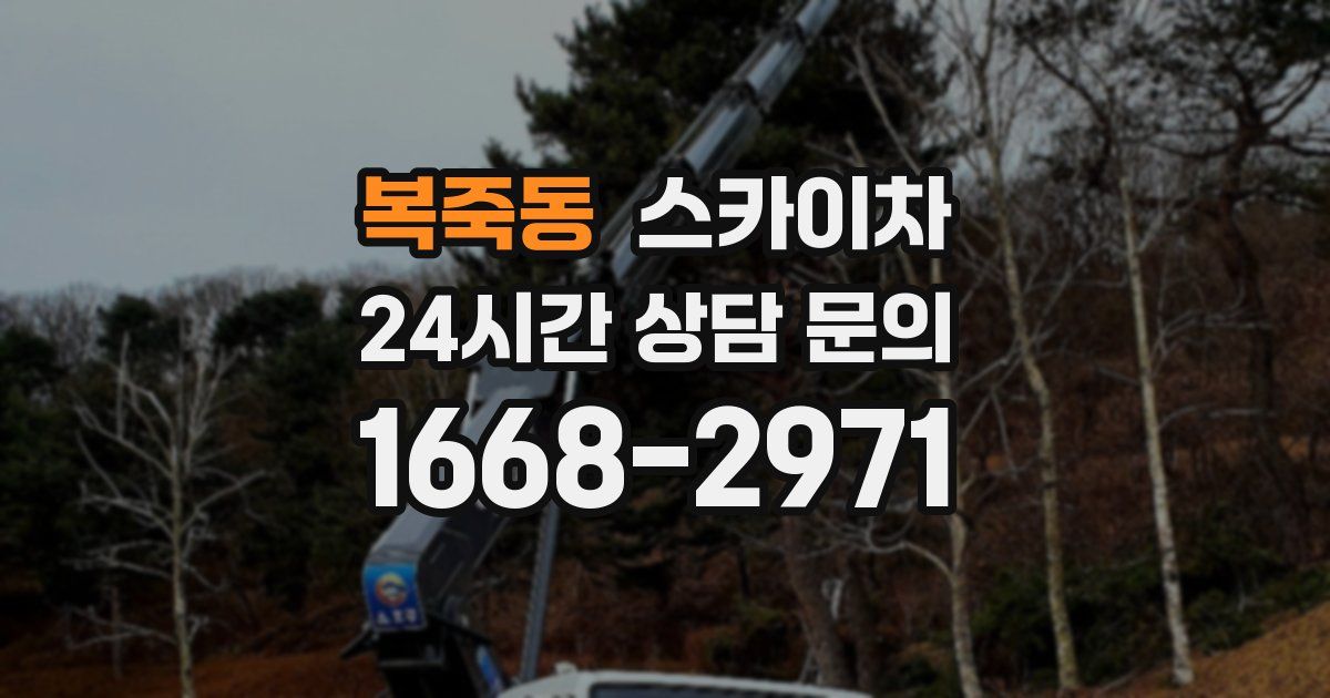 복죽동 스카이차