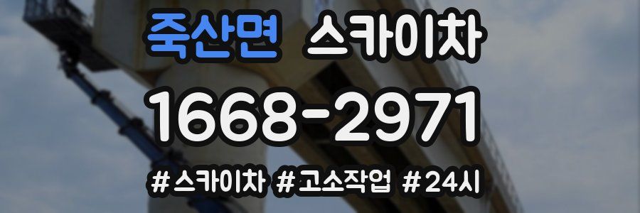 죽산면 스카이차