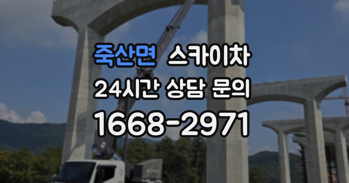 죽산면 스카이차