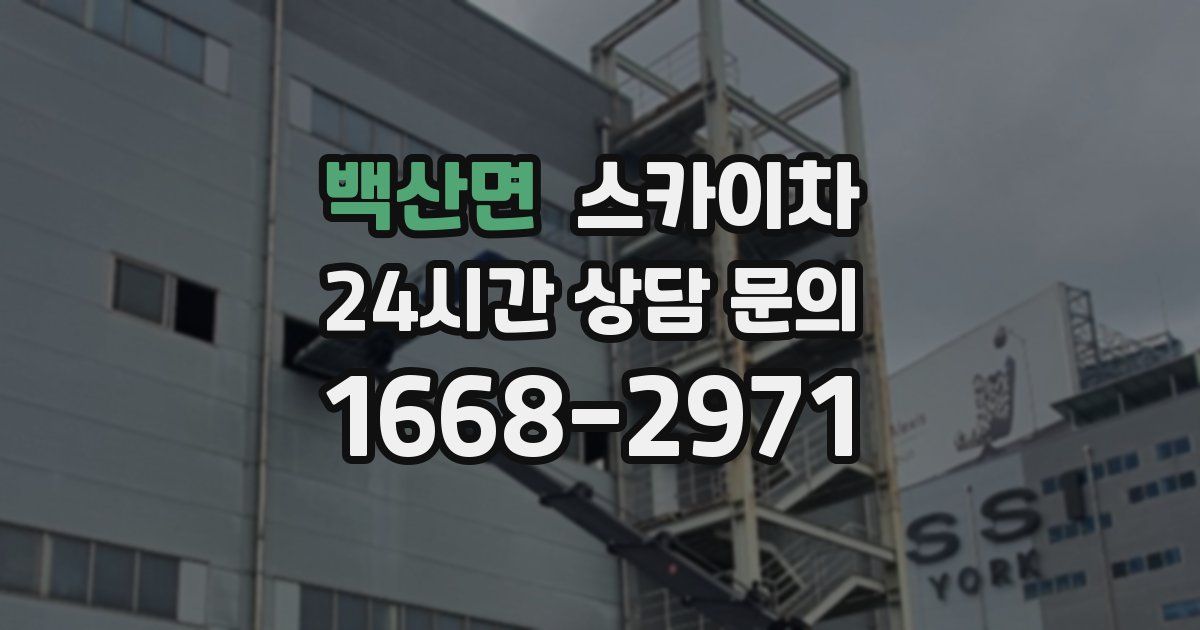 백산면 스카이차