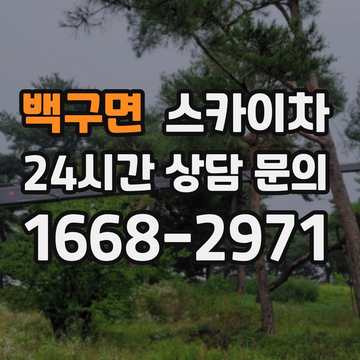 백구면 스카이차 보안등 교체가 높은 곳일 때 해결
