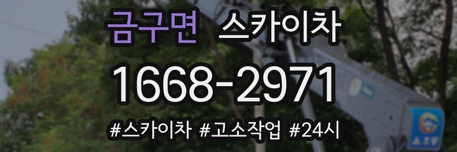 금구면 스카이차