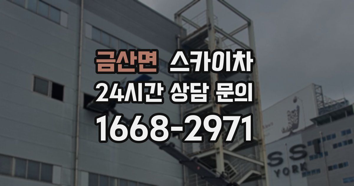 금산면 스카이차