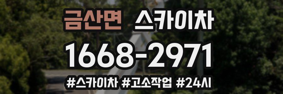 금산면 스카이차