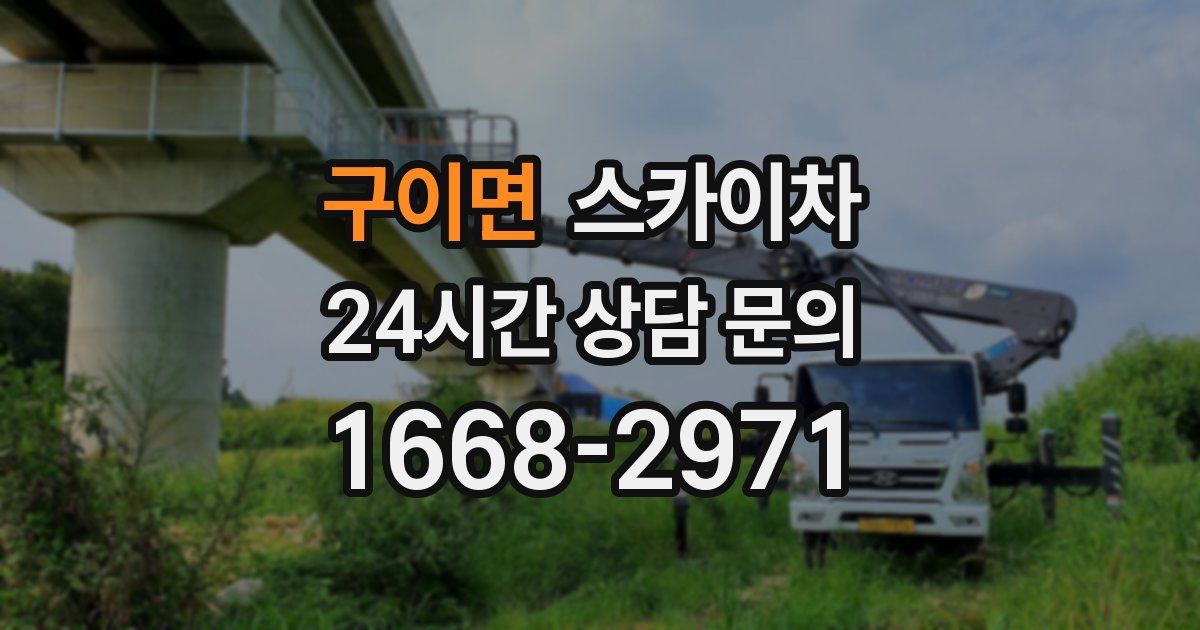 구이면 스카이차