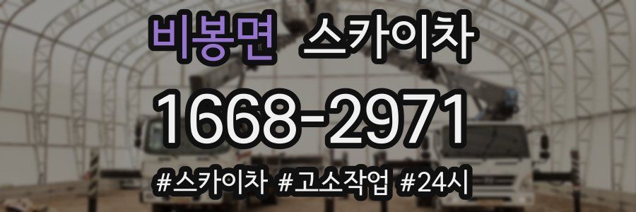 비봉면 스카이차