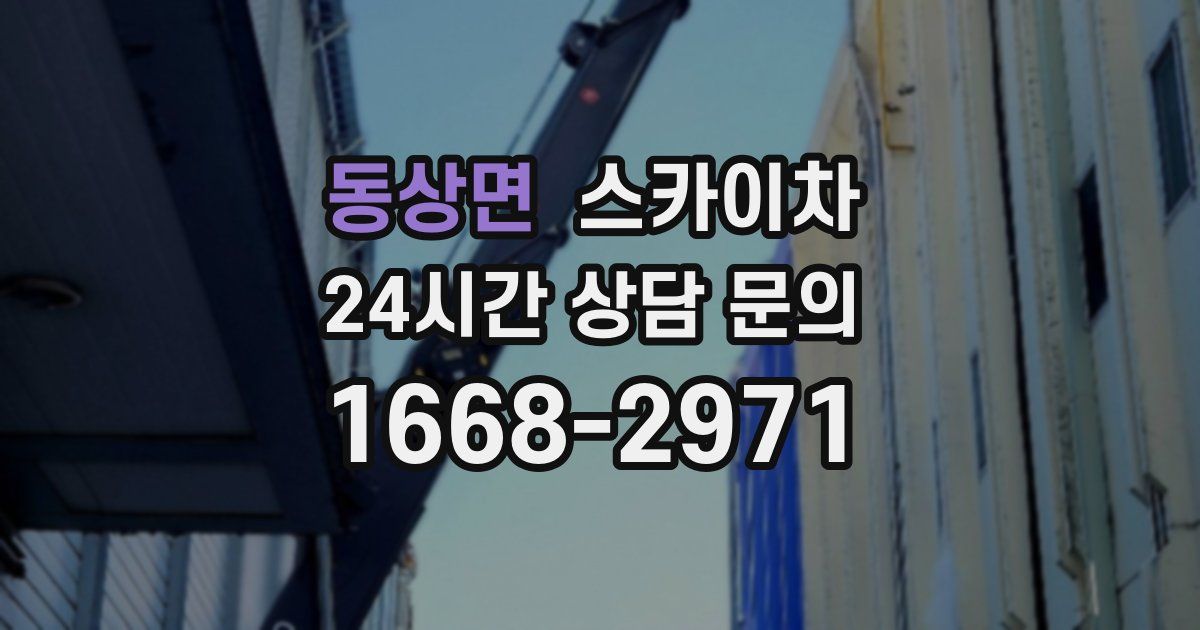 동상면 스카이차