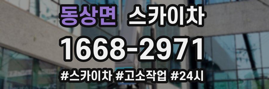 동상면 스카이차