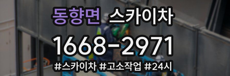 동향면 스카이차