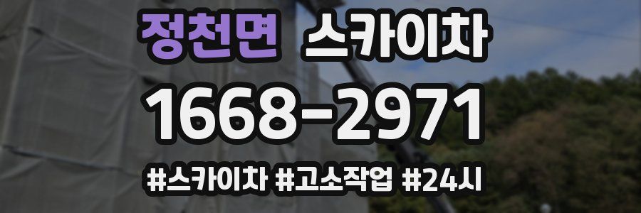 정천면 스카이차