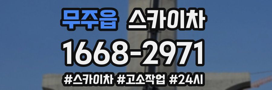 무주읍 스카이차