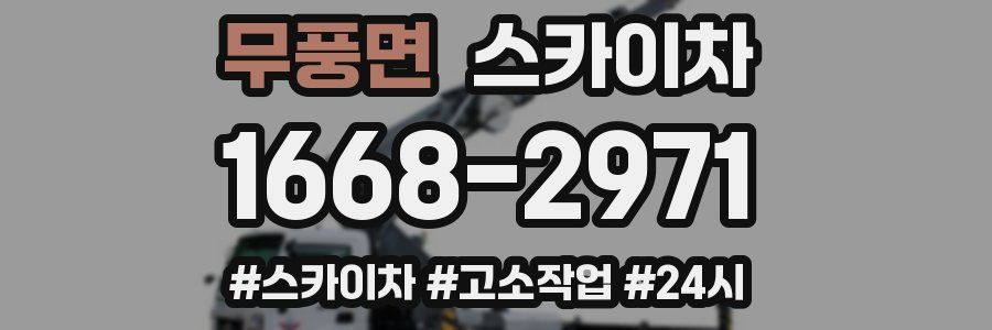 무풍면 스카이차