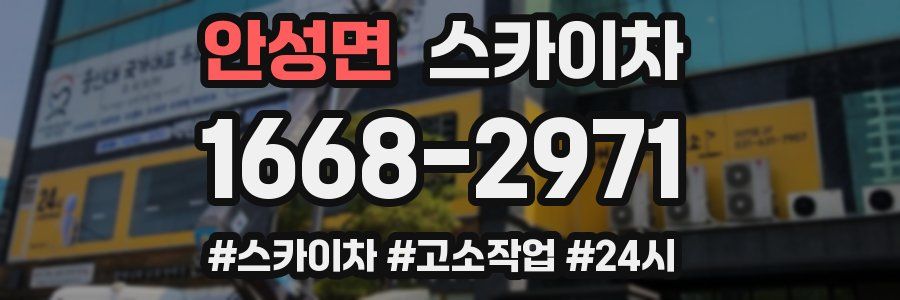 안성면 스카이차