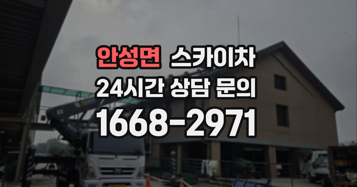 안성면 스카이차