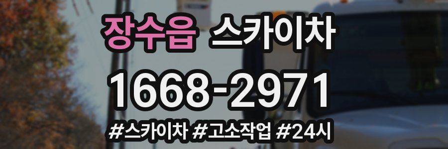 장수읍 스카이차