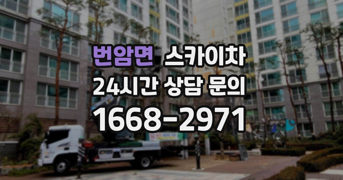 번암면 스카이차