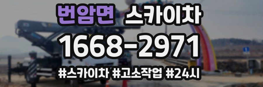 번암면 스카이차