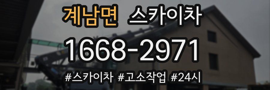 계남면 스카이차