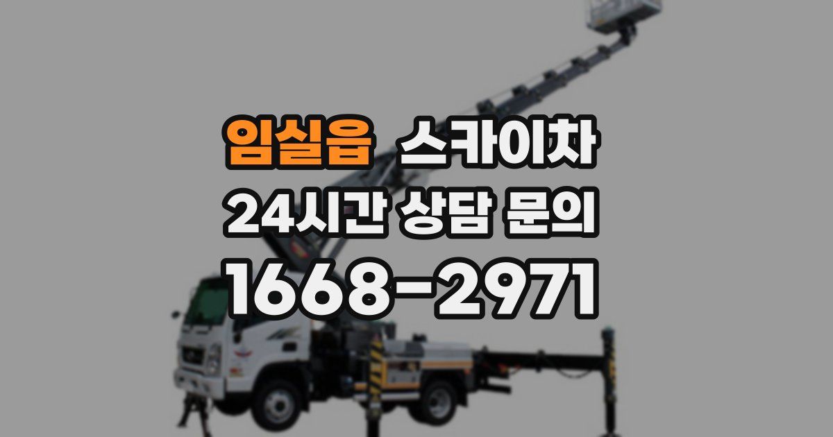 임실읍 스카이차