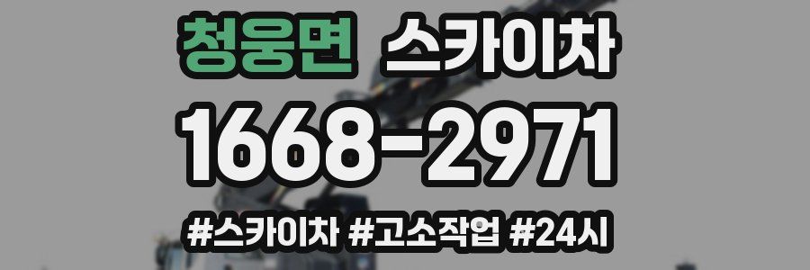 청웅면 스카이차