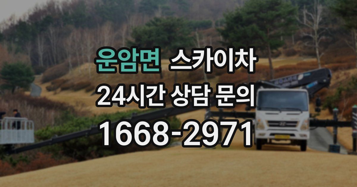 운암면 스카이차