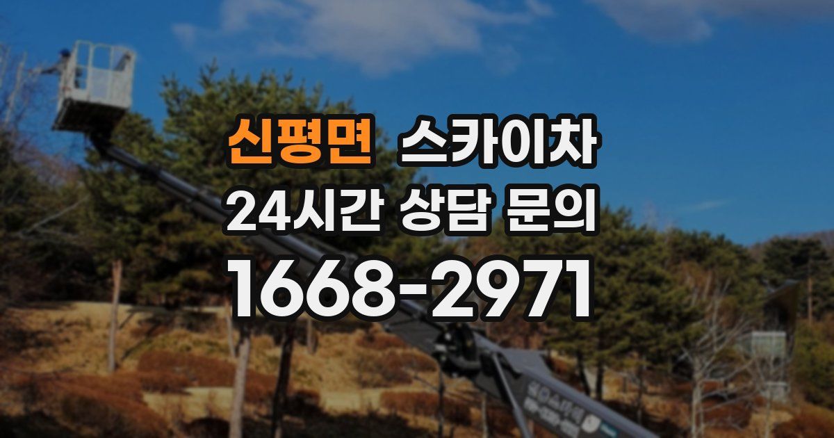 신평면 스카이차