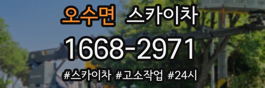 오수면 스카이차